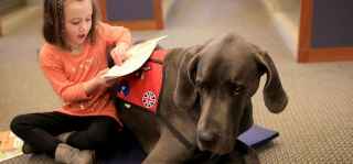 therapy dogs for children