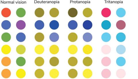 Types Of Color Blindness