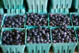 fruit, blueberries, healthy eating, reasons to eat blueberries