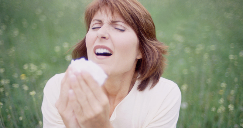 Why Fall Allergies Make You Sneeze