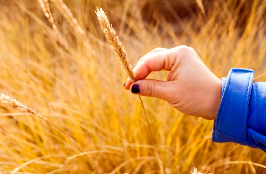 What Is Gluten Intolerance? What Is Gluten Intolerance?