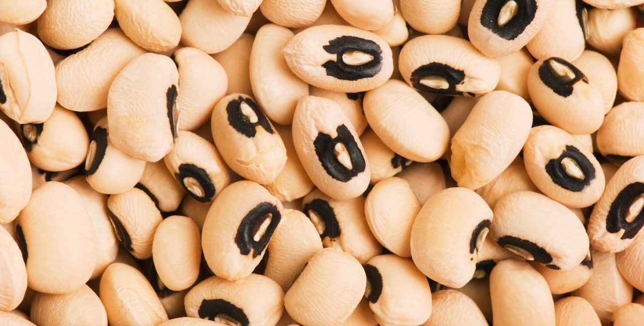 0042-11-30T00:00:00.000Z Black-Eyed Peas --- Image by © John Kroetch/Design Pics/Corbis