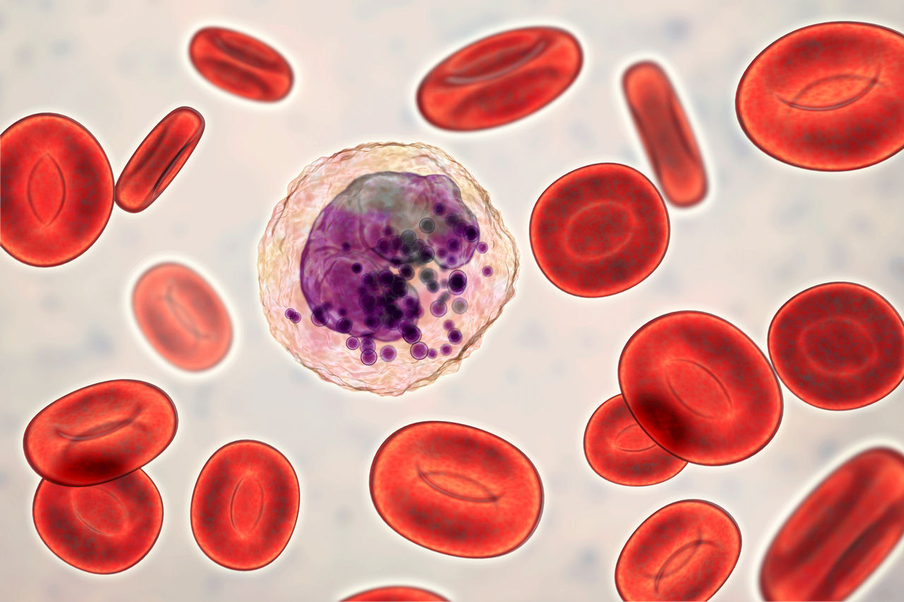 What Is Lymphoma? What Is Lymphoma?