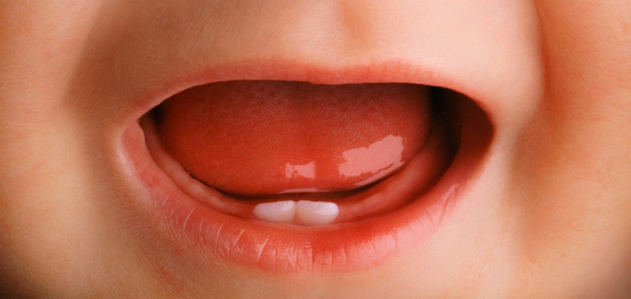 0042-11-30T00:00:00.000Z Two Tiny Teeth in Baby's Open Mouth --- Image by © Chris Collins/Corbis