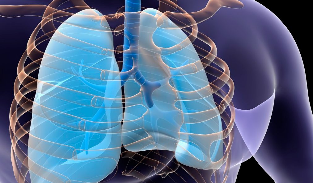 Bronchitis Symptoms YourCareEverywhere