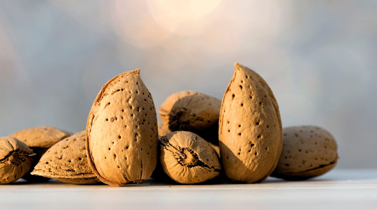 Do Almonds Promote Gut Health?