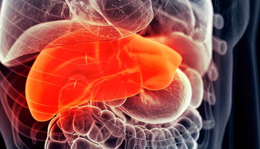 Symptoms of Liver Disease