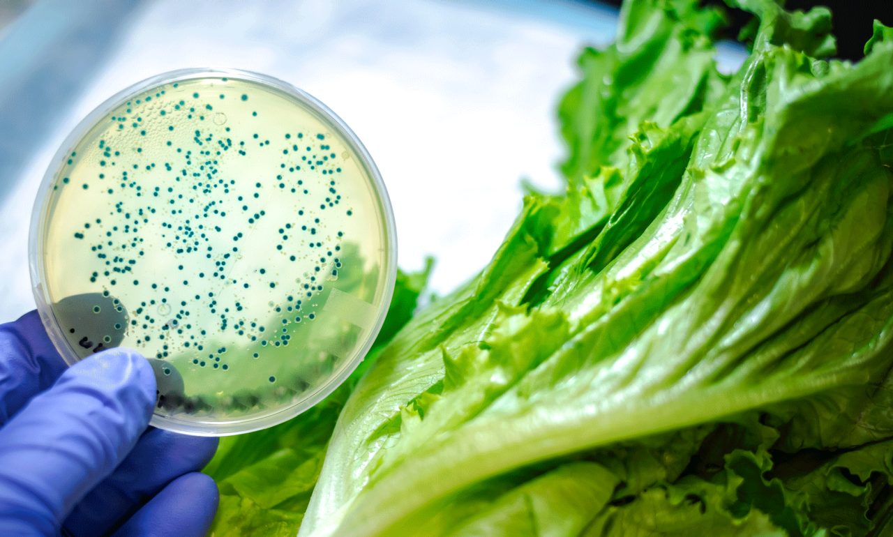 Listeria Treatment Listeria Treatment