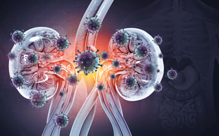 23 Jan 2013 --- Kidney stone. --- Image by © SHUBHANGI GANESHRAO KENE/Science Photo Library/Corbis