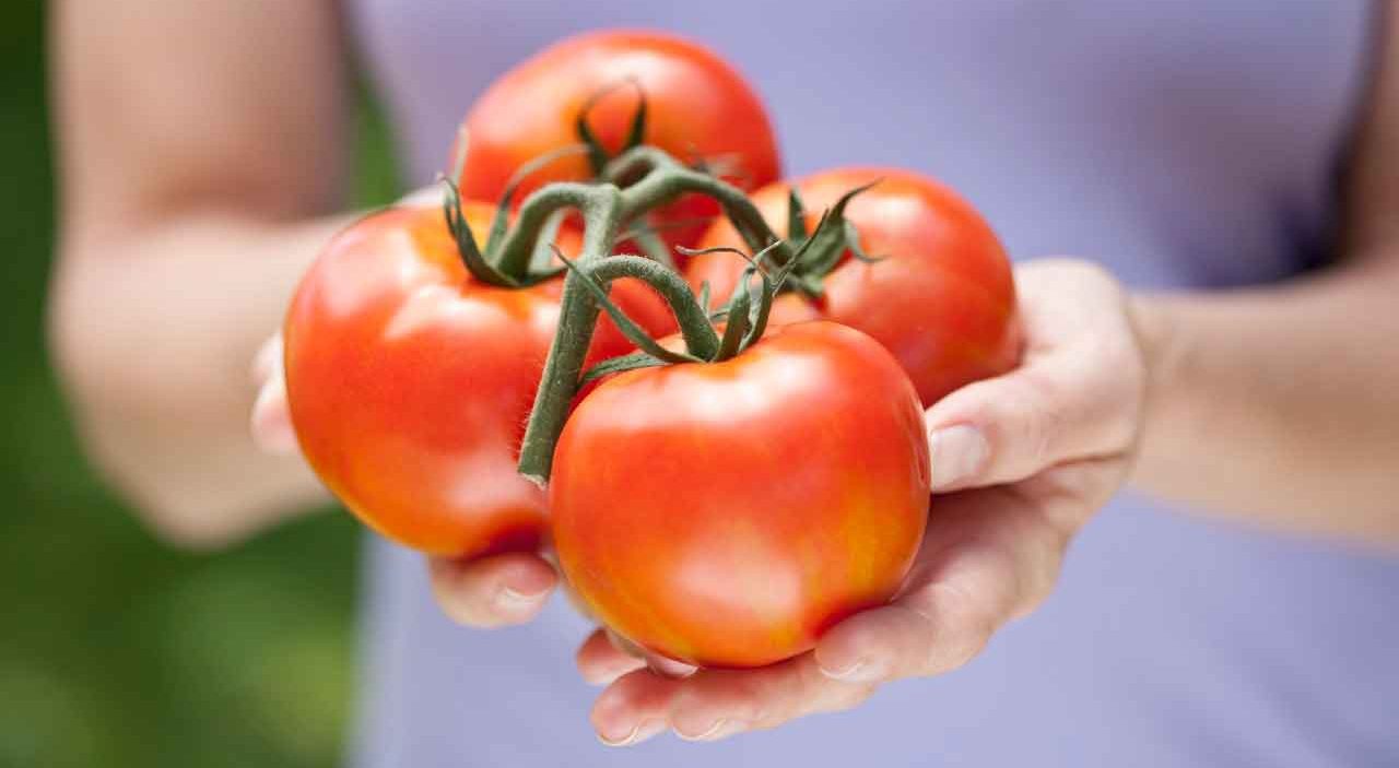 Are Tomatoes Bad for Arthritis? 