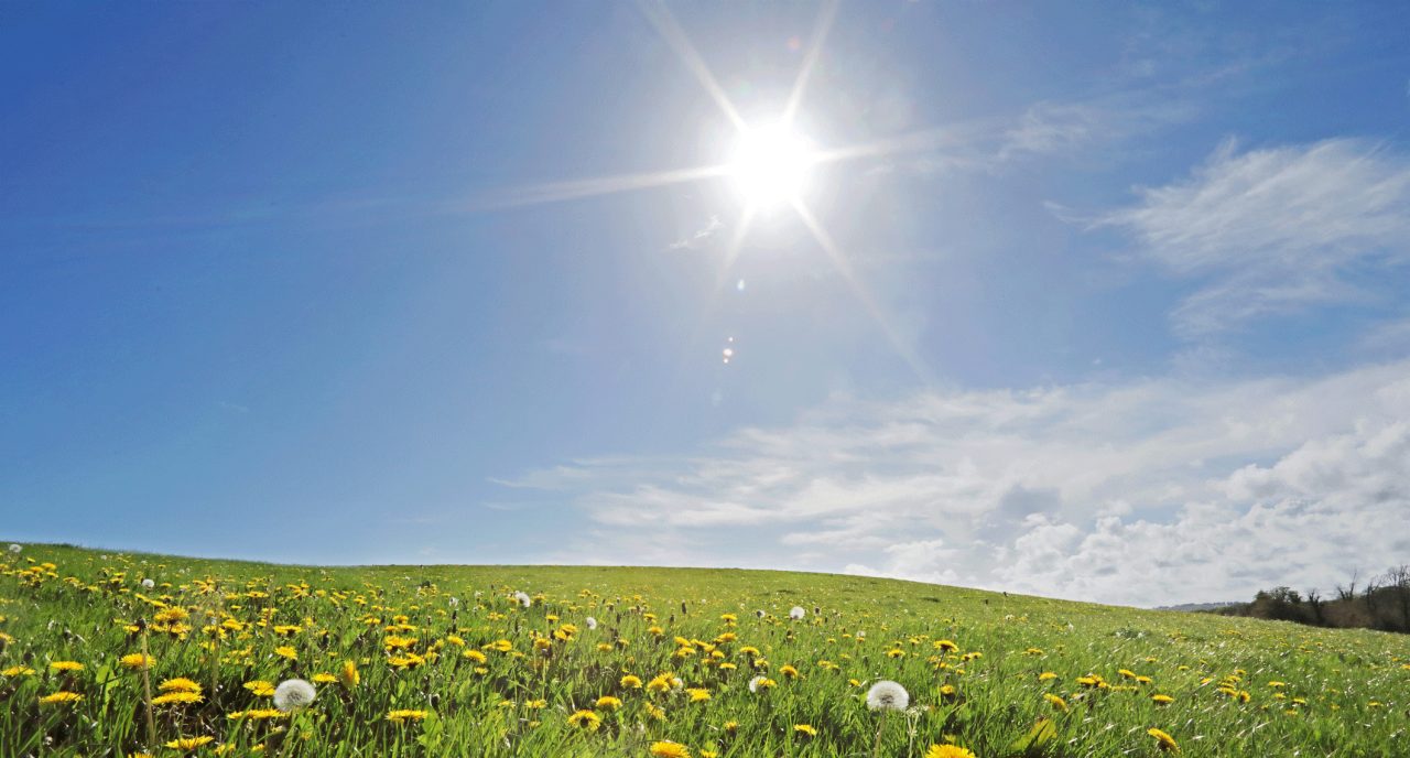 Vitamin D May Help You Manage Diabetic Neuropathy Vitamin D May Help You Manage Diabetic Neuropathy