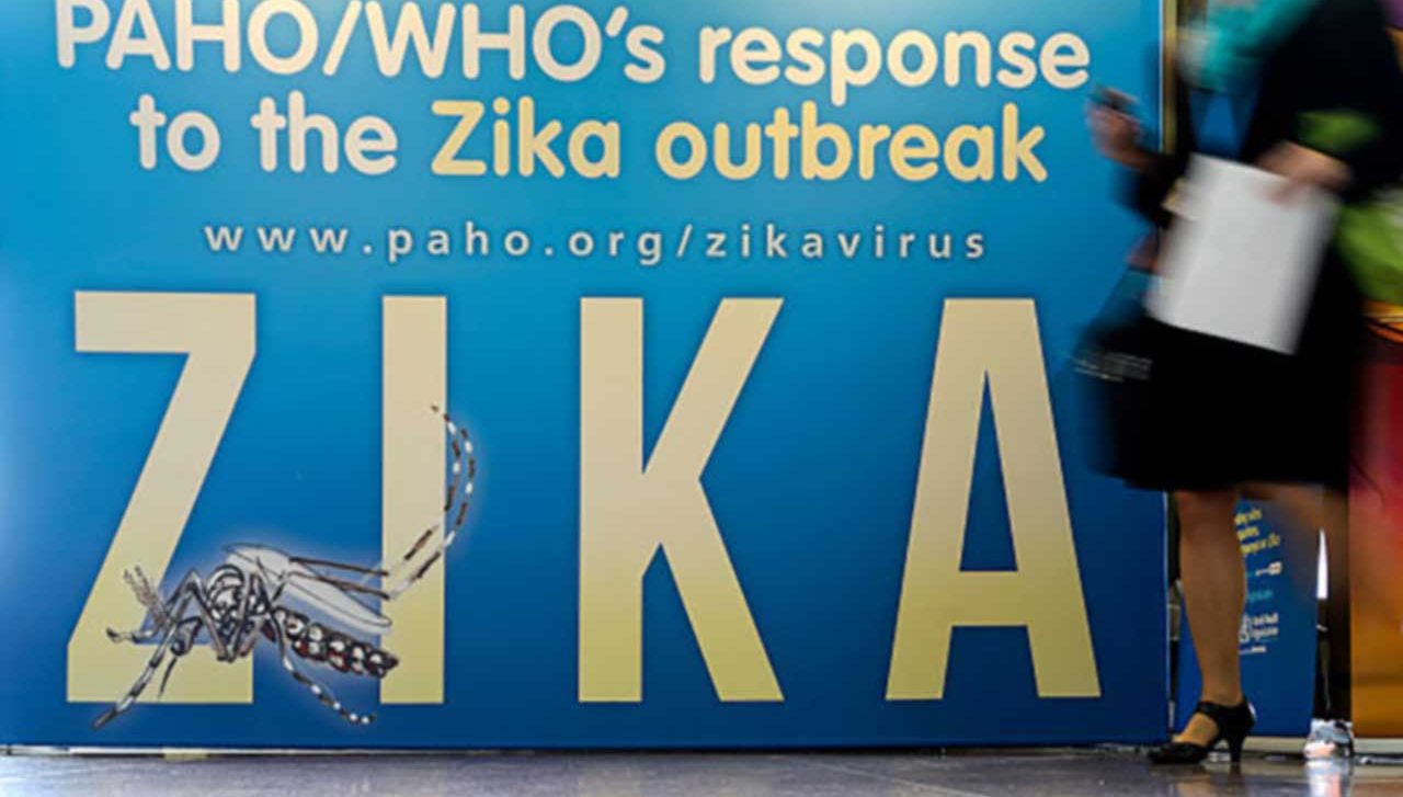 Is Zika Virus Risk at the Summer Olympics Overhyped?