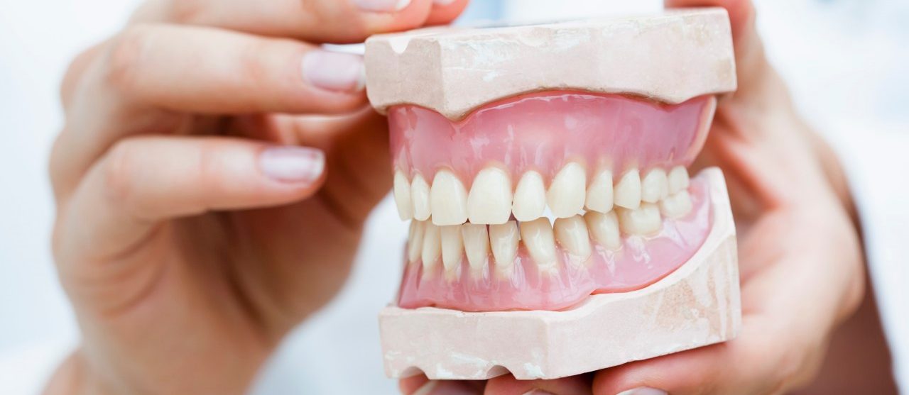 Germany --- Germany, Bavaria, Diessen am Ammersee, Young doctor exhibiting dentures, close up --- Image by © Julian Rupp/Westend61/Corbis