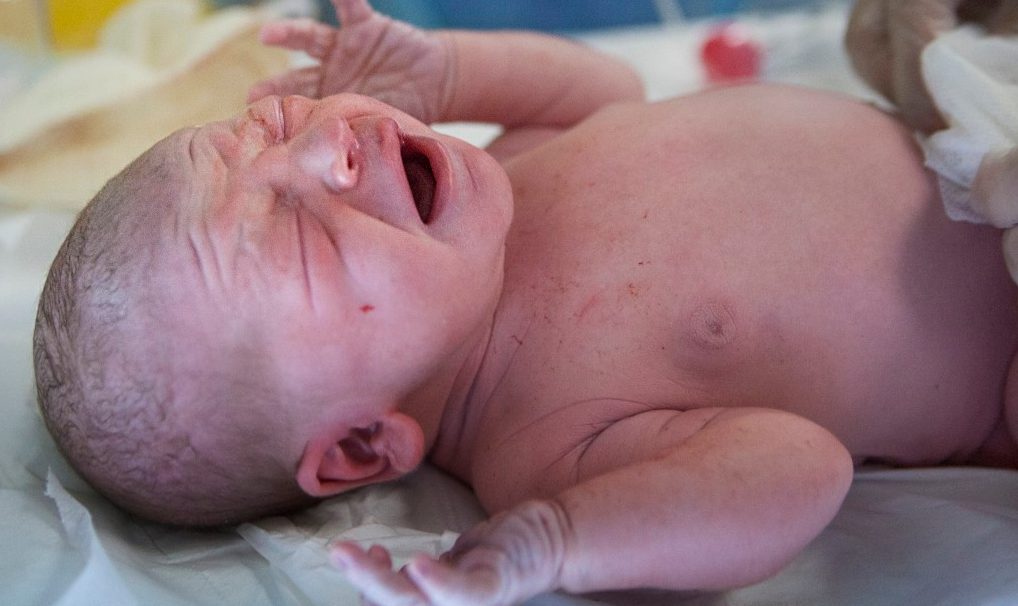 Why Do Babies Cry? — Conclusion Why Do Babies Cry? — Conclusion