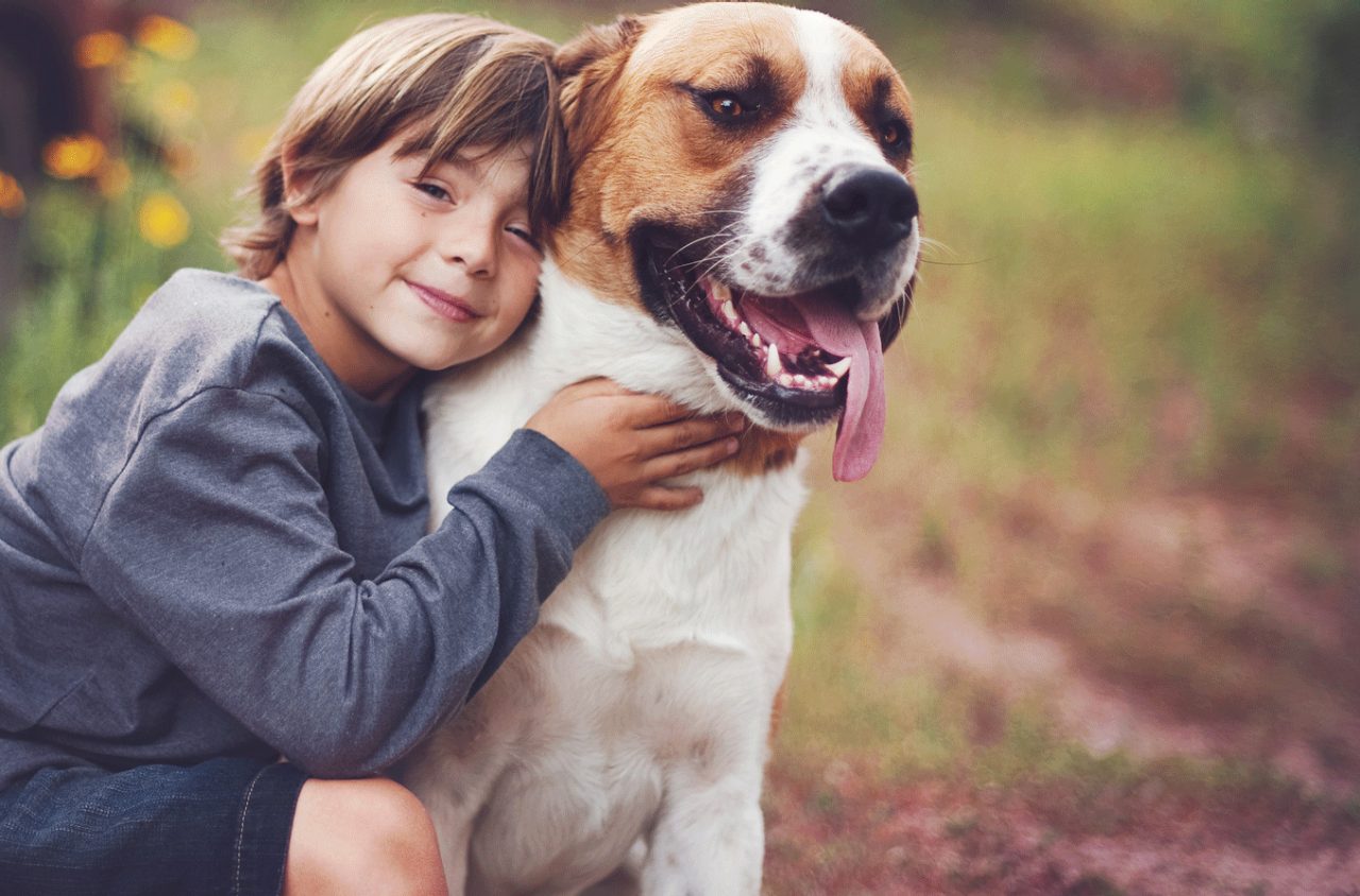Could A Dog Help Your Child’s ADHD?