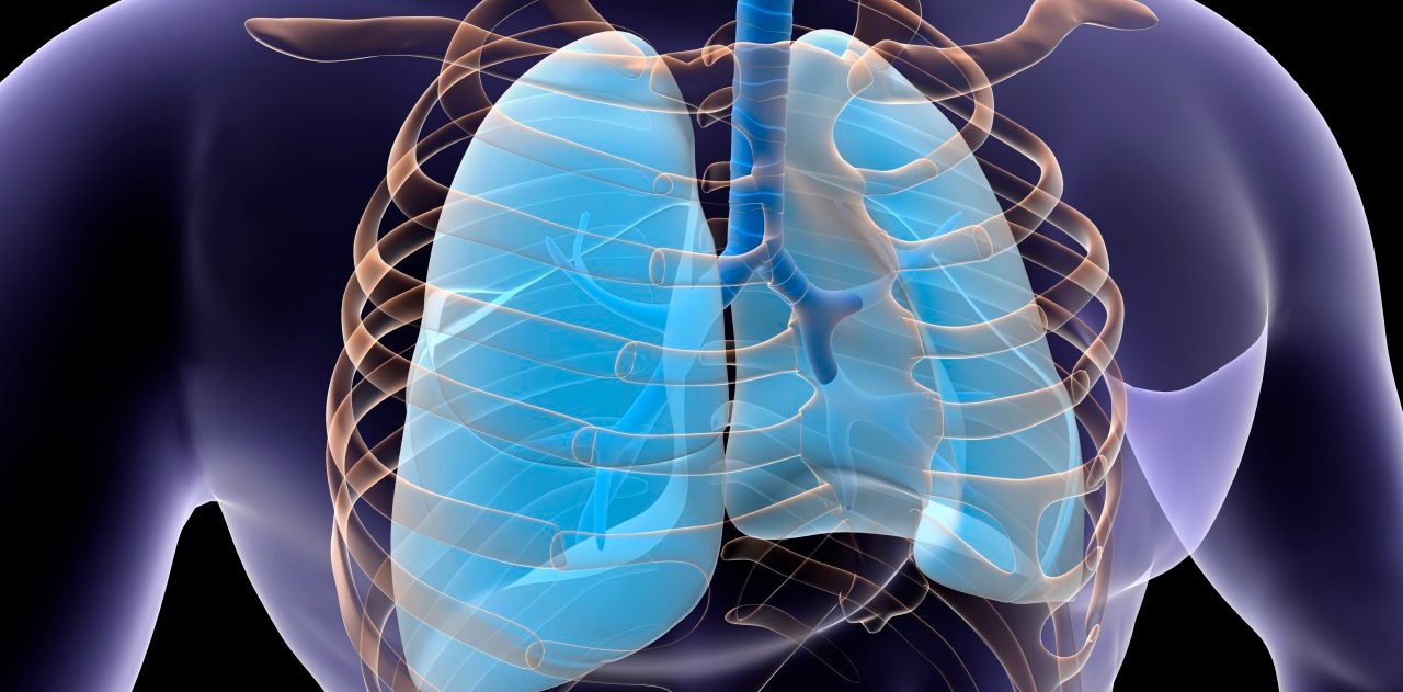 0042-11-30T00:00:00.000Z 01 Sep 2013 --- Conceptual image of human lungs and rib cage. --- Image by © Stocktrek Images/Corbis