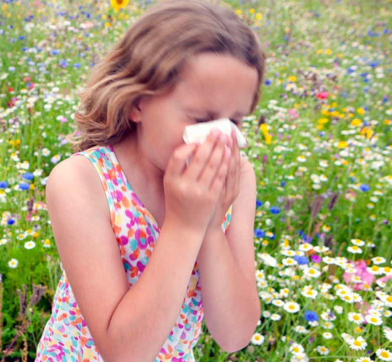 Why Spring Makes You Sneeze