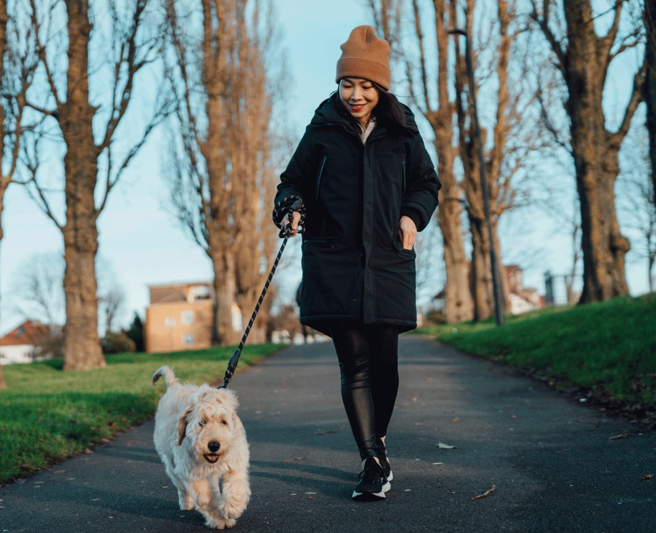 How Many Miles Should A Dog Walk Per Day