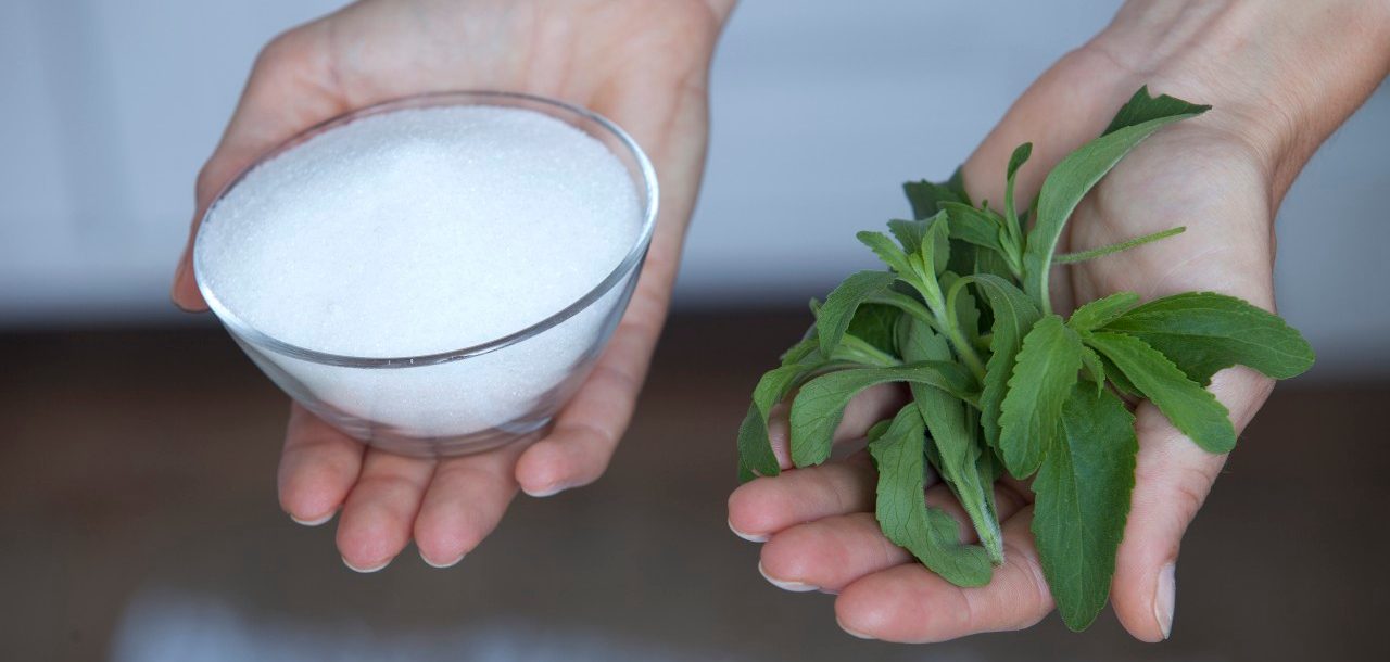 Munich, Germany --- Germany, Munich, Mature woman holding stevia and sugar substitute --- Image by © Katharina Renter/Westend61/Corbis