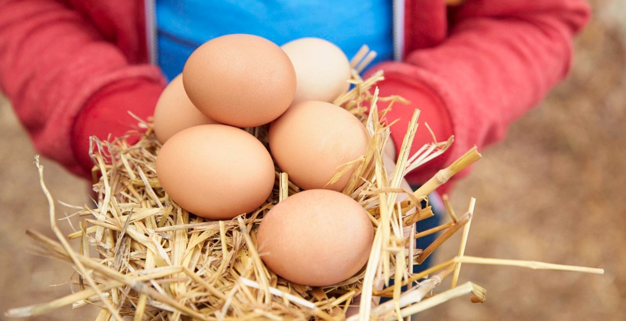 30 Jun 2014 --- Young girl holding fresh eggs, focus on eggs --- Image by © Laura Doss/Image Source/Corbis