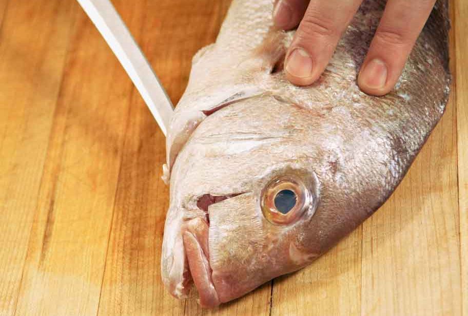 Is “Fresh” Fish Really Your Best Option?