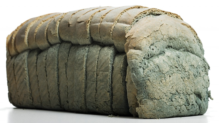 Moldy loaf of sliced bread --- Image by © Mike Kemp/Rubberball/Corbis