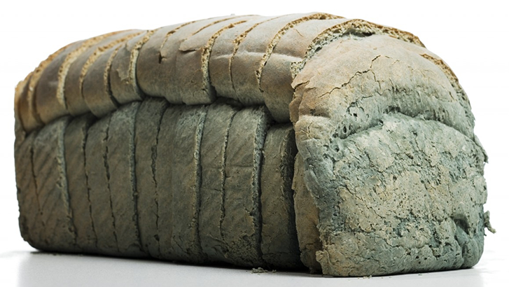 42-24229232 Moldy loaf of sliced bread --- Image by © Mike Kemp/Rubberball/Corbis