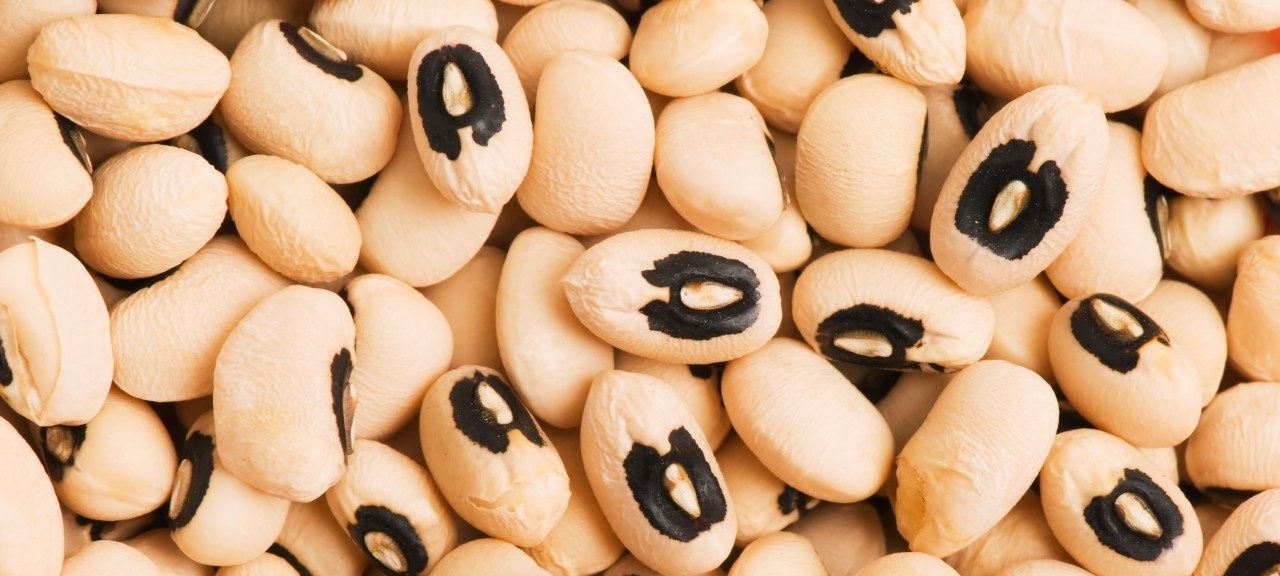 0042-11-30T00:00:00.000Z Black-Eyed Peas --- Image by © John Kroetch/Design Pics/Corbis