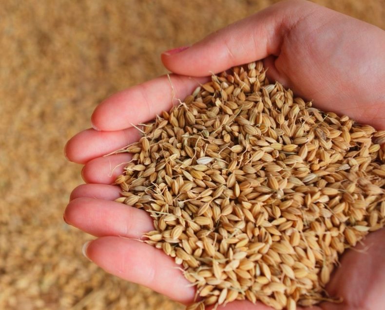 Healthy Eating with Whole Grains Healthy Eating with Whole Grains