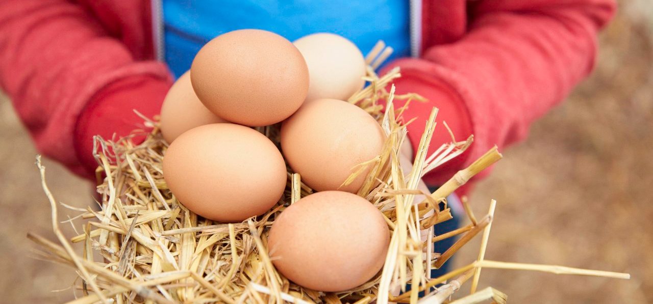 0042-11-30T00:00:00.000Z 30 Jun 2014 --- Young girl holding fresh eggs, focus on eggs --- Image by © Laura Doss/Image Source/Corbis