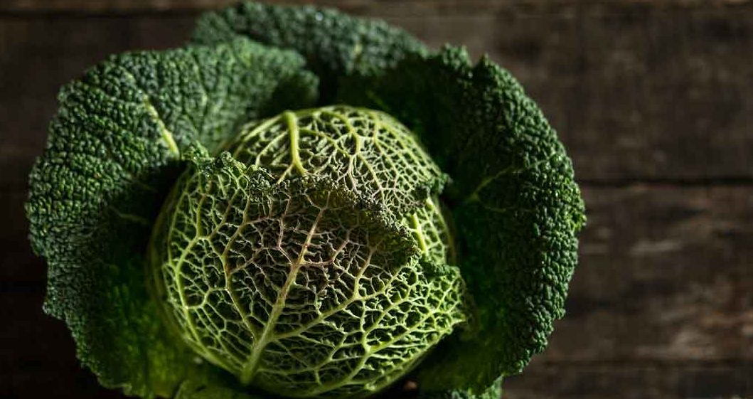 Diets That Don't Work Diets That Don't Work