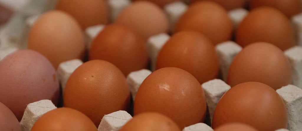 The Health Benefits of Eggs