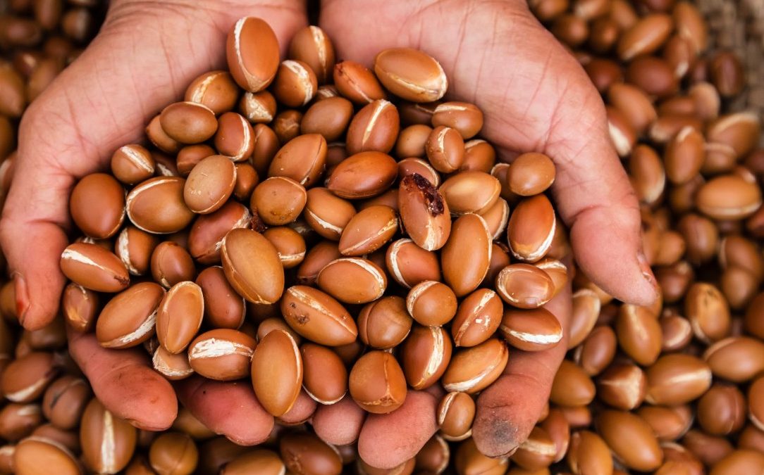 0042-11-30T00:00:00.000Z 28 Apr 2014 --- Close up of hands holding argan oil nuts --- Image by © Jeremy Woodhouse/Blend Images/Corbis