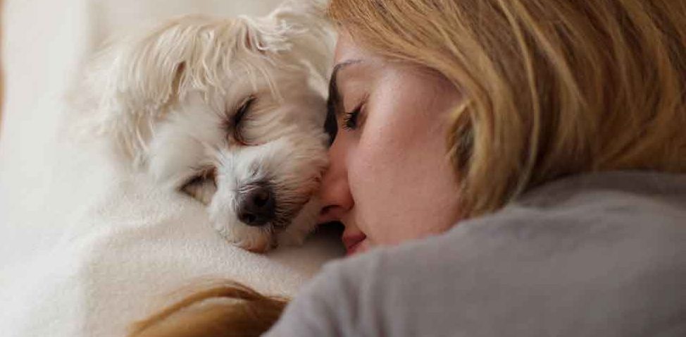 Guided Meditation for Sleep — Continued Guided Meditation for Sleep — Continued