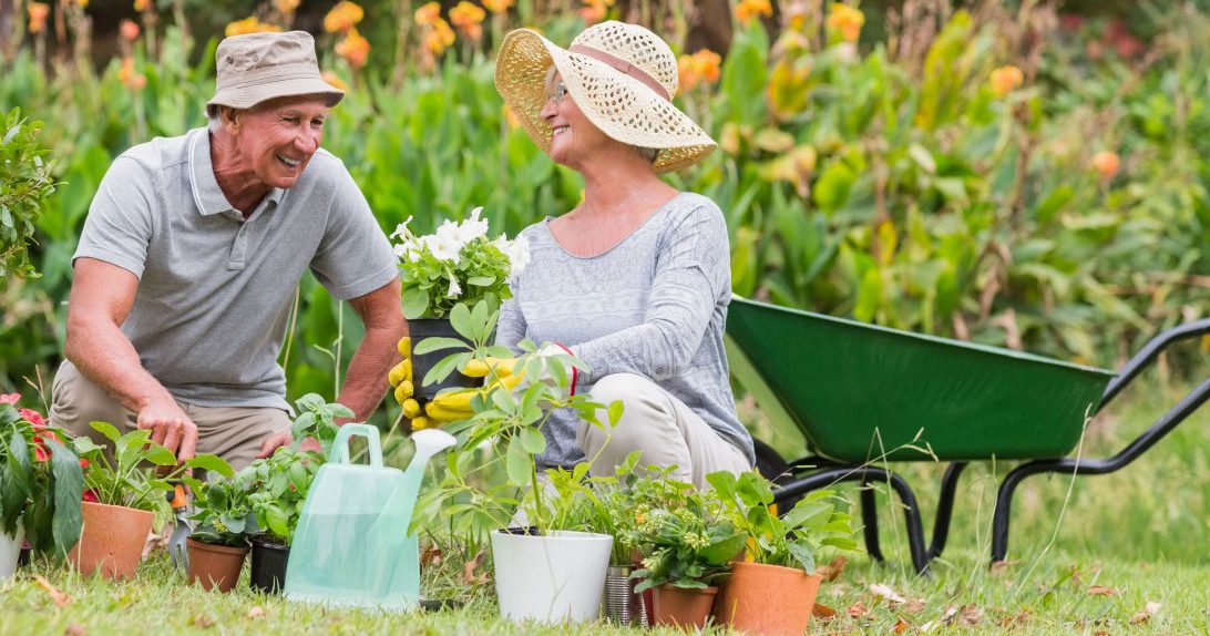 Gardening, Landscaping to Reduce Summer Stress